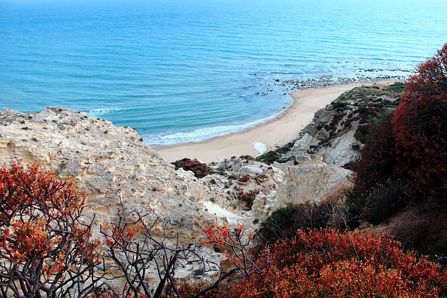 Sciacca